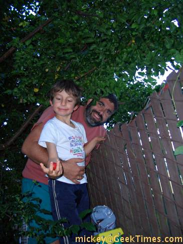 Isaac & Papa in plum tree